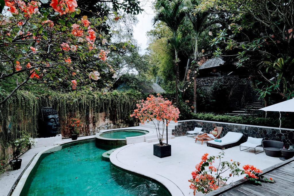 Cover Image for The Sattva Yoga Retreat