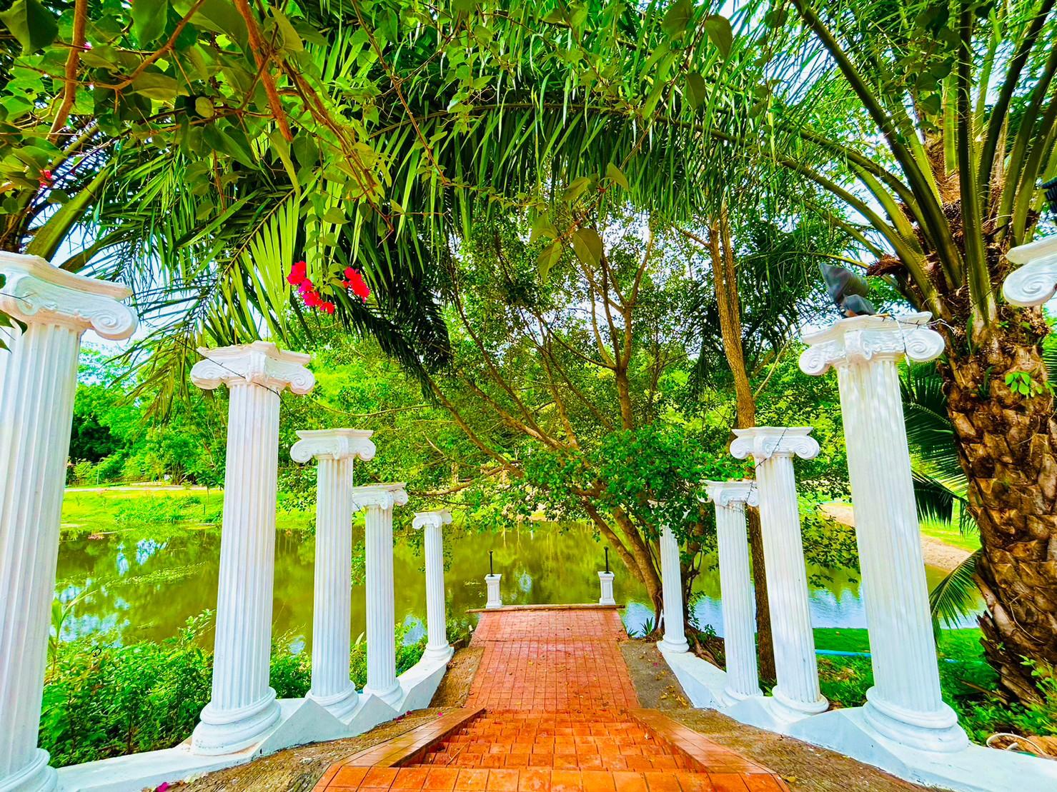 Cover Image for S.palace Home