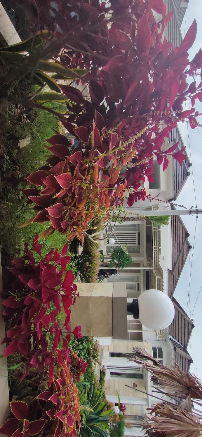 Cover Image for EMERALD VILLAS K6