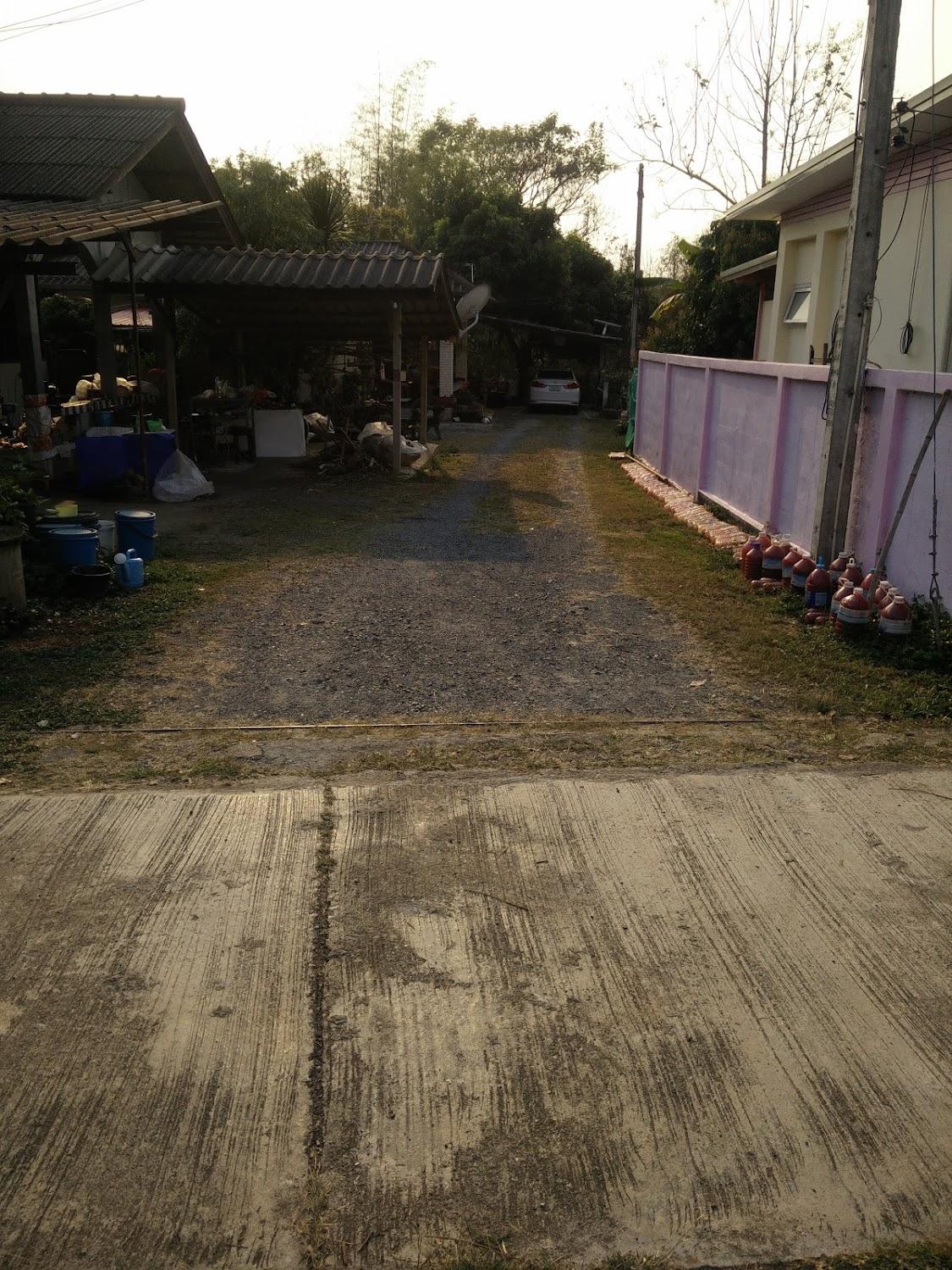 Cover Image for คุ้มทรัพย์อนันต์