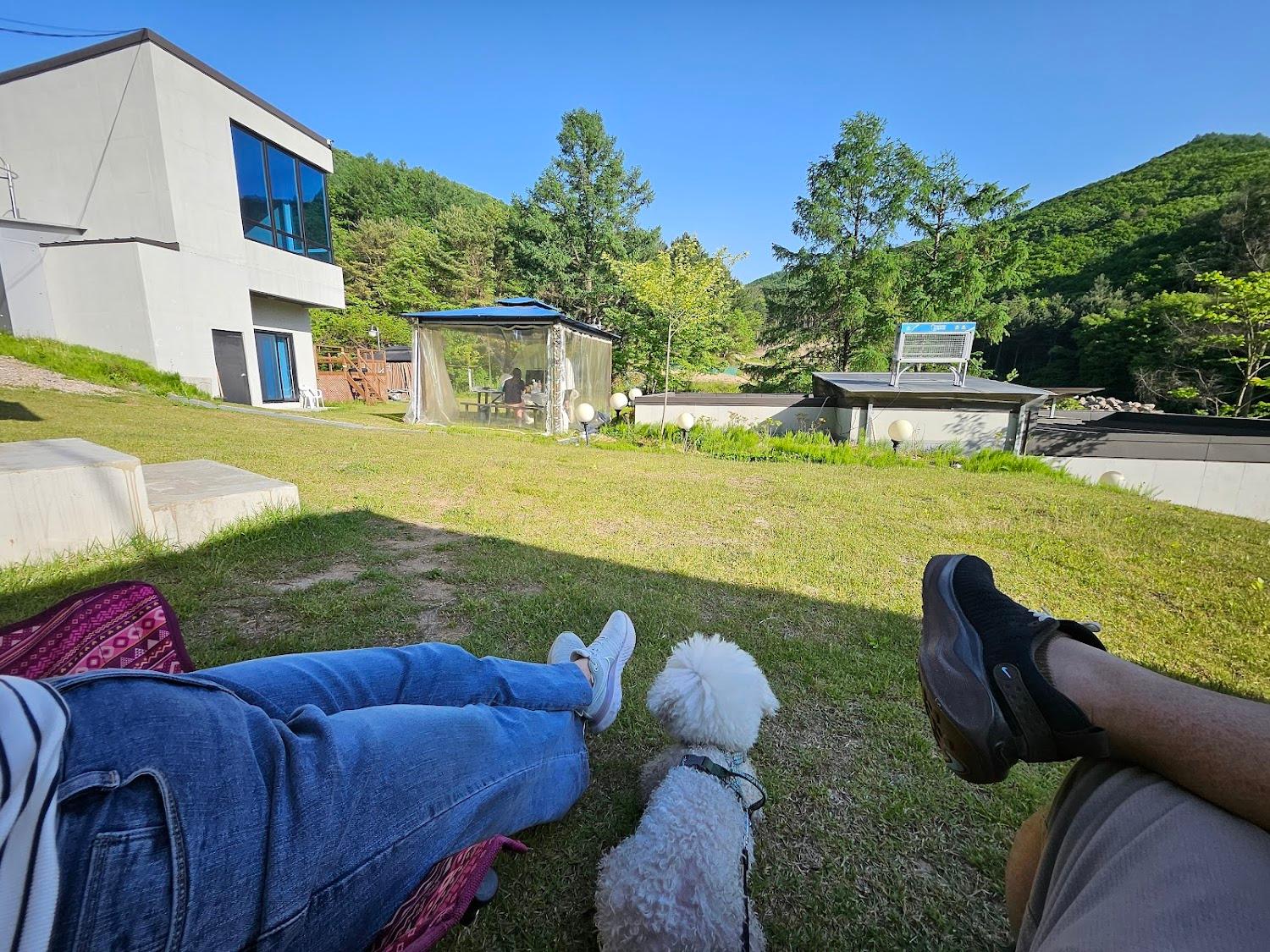 Cover Image for 이랑둔내휴양림펜션