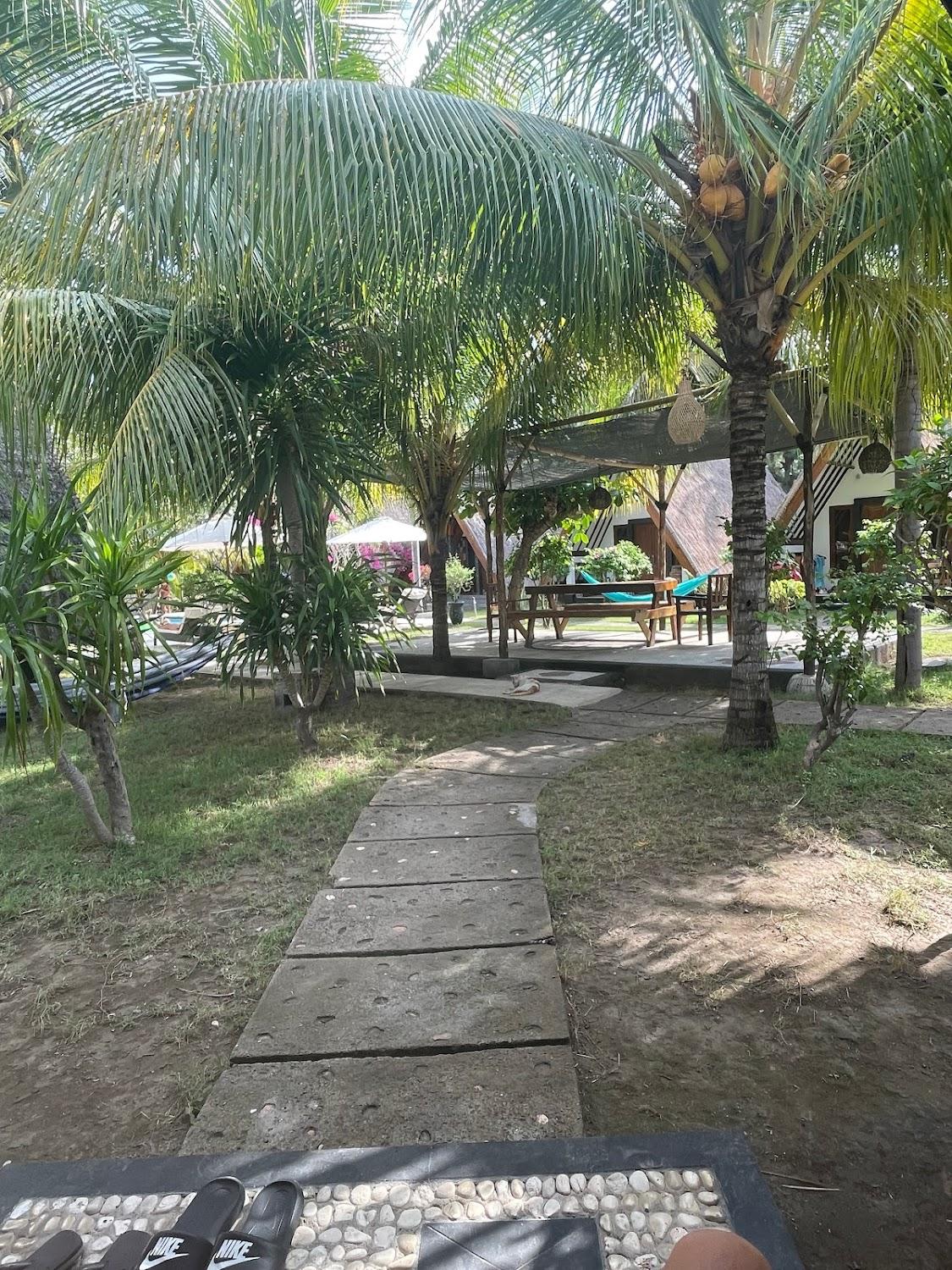 Cover Image for Lucy's Garden Hotel