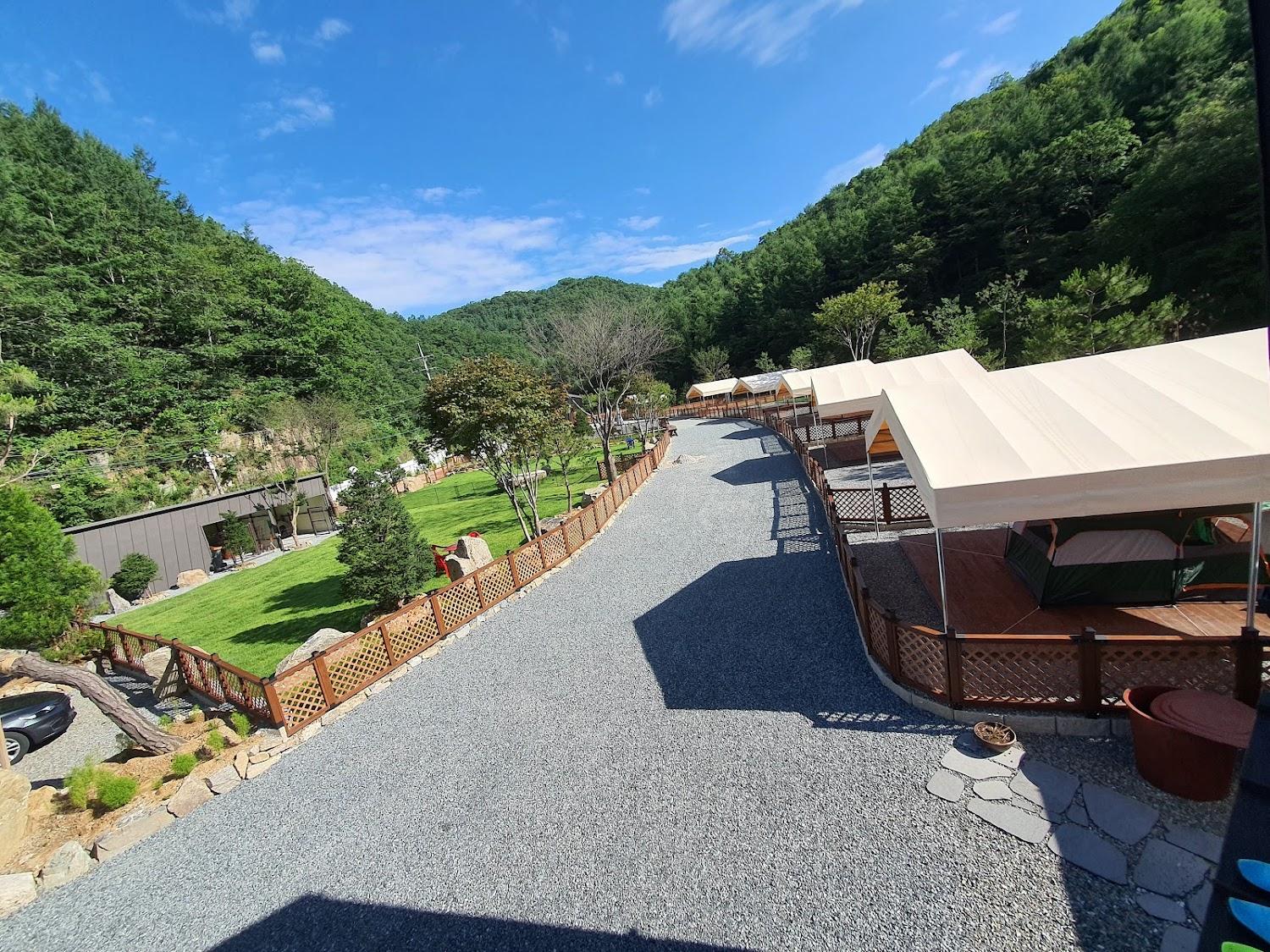 Cover Image for 그자리 애견 캠핑장