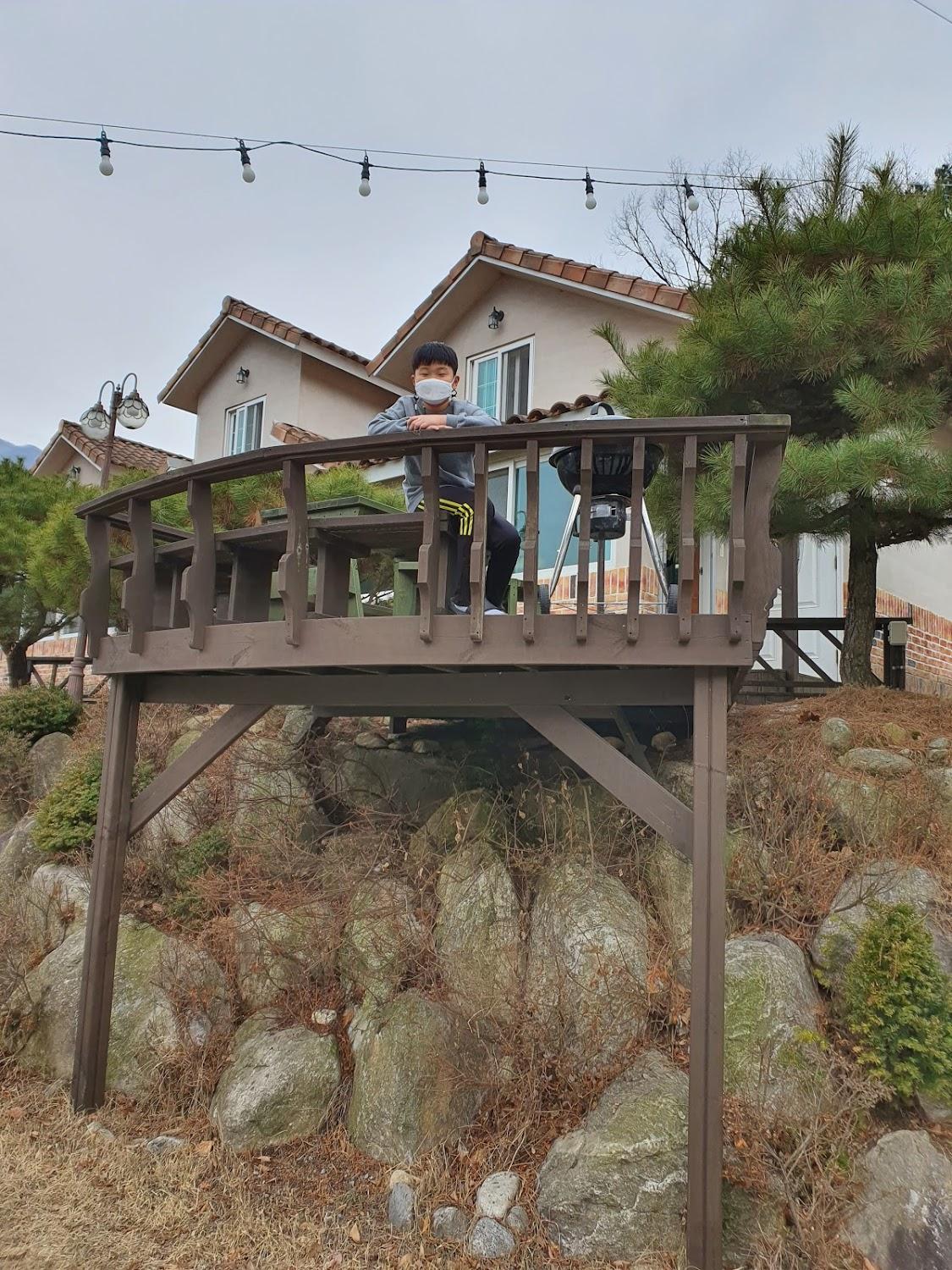 Cover Image for 잠에서깨어난고양이