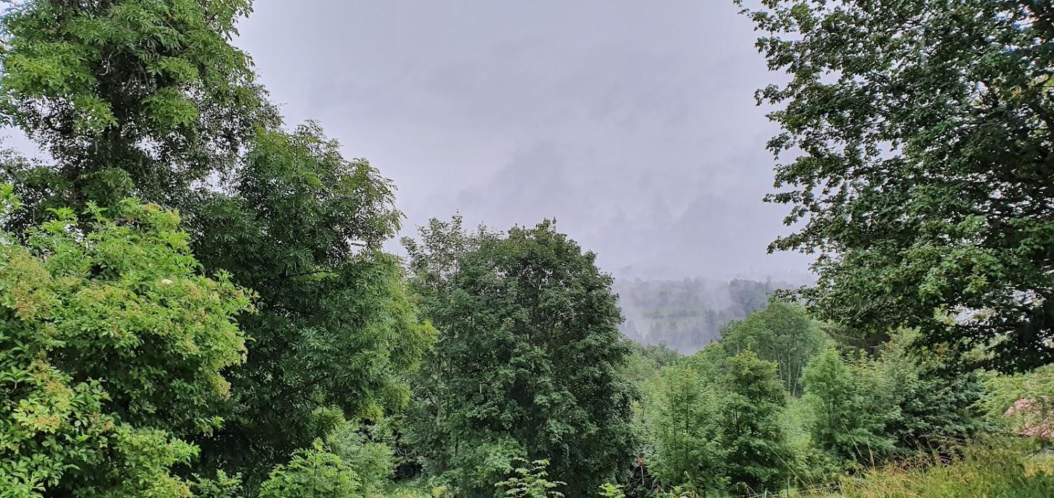 Cover Image for Seminar and holiday home Hollerbühl