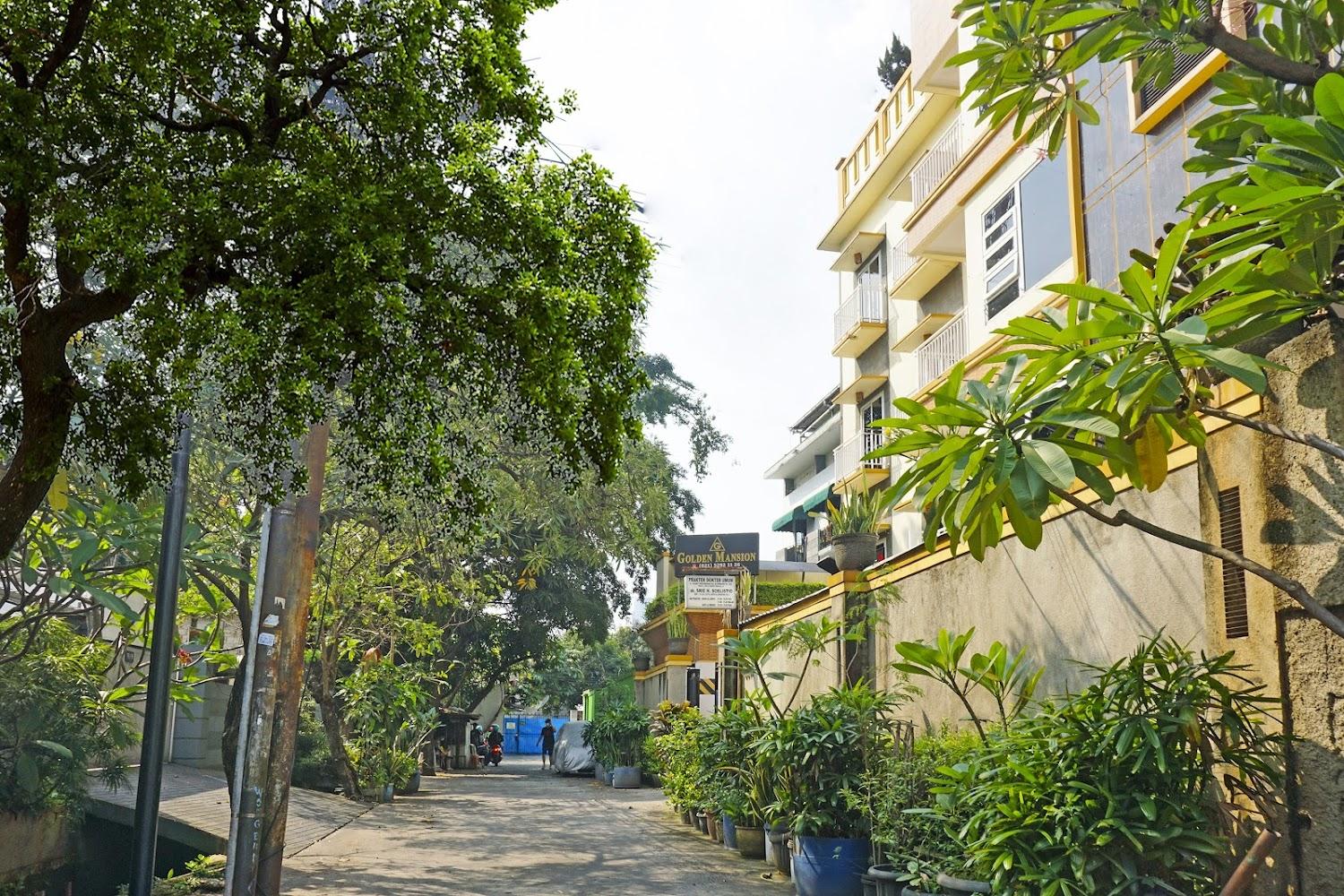 Cover Image for Collection O 91380 Golden Mansion