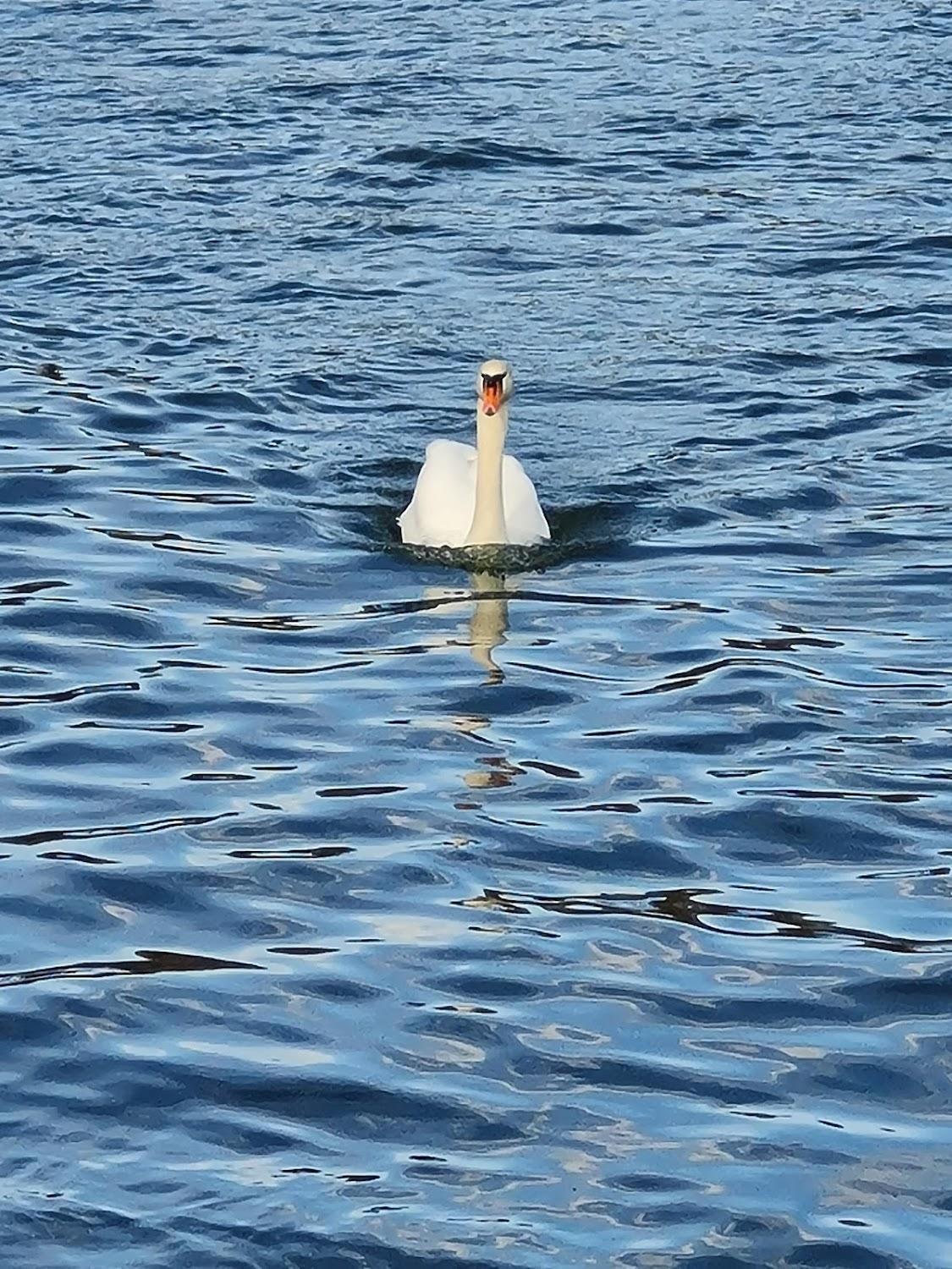 Cover Image for BnB am Rhein