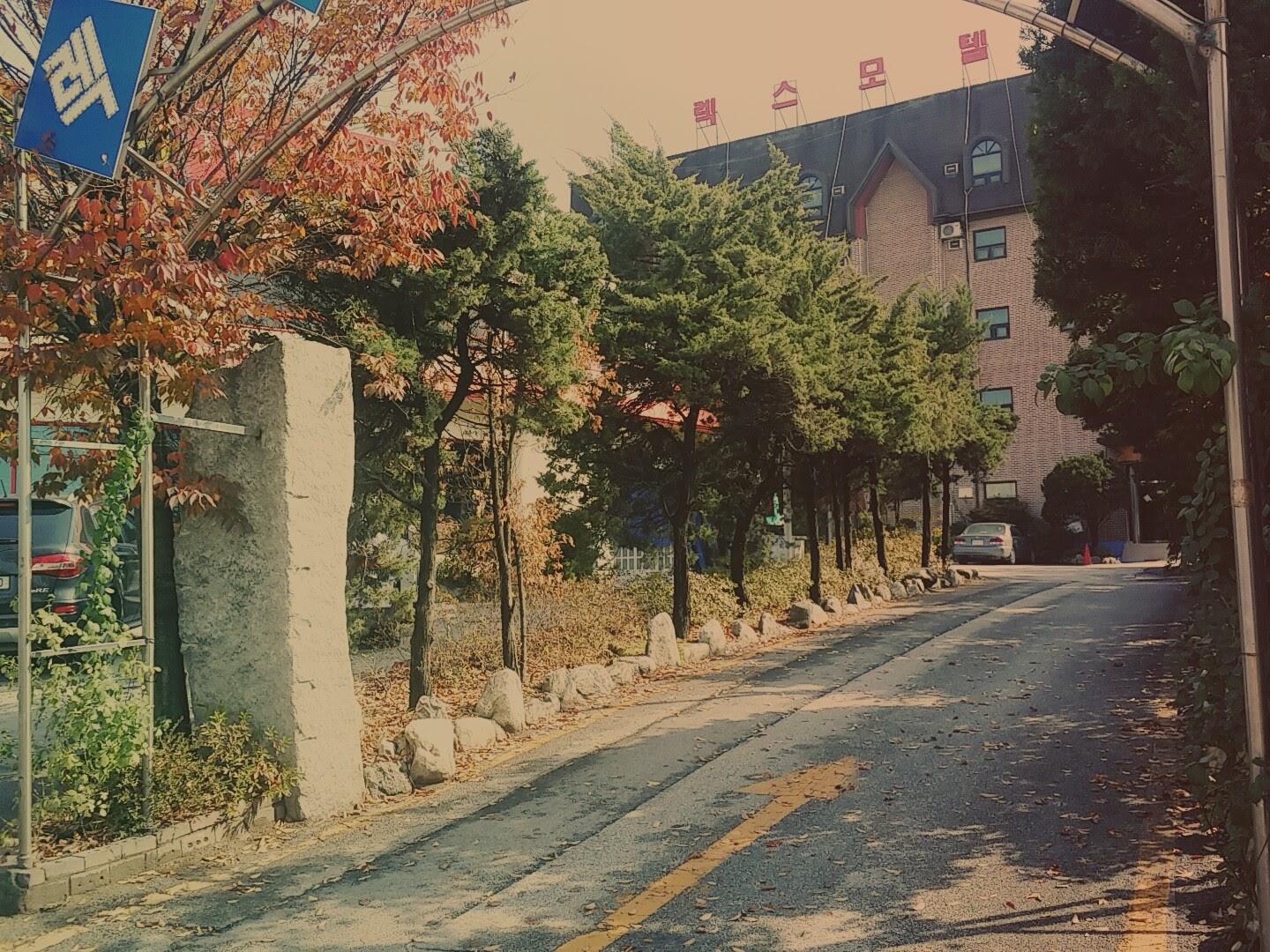 Cover Image for 렉스모텔
