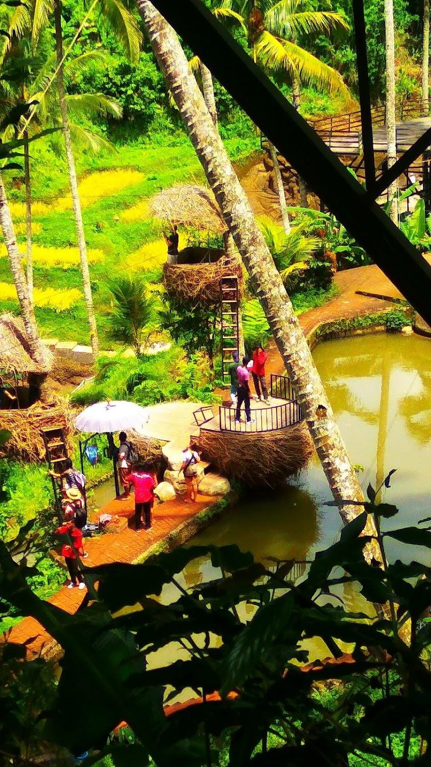 Cover Image for Ubud Rice Field Villa