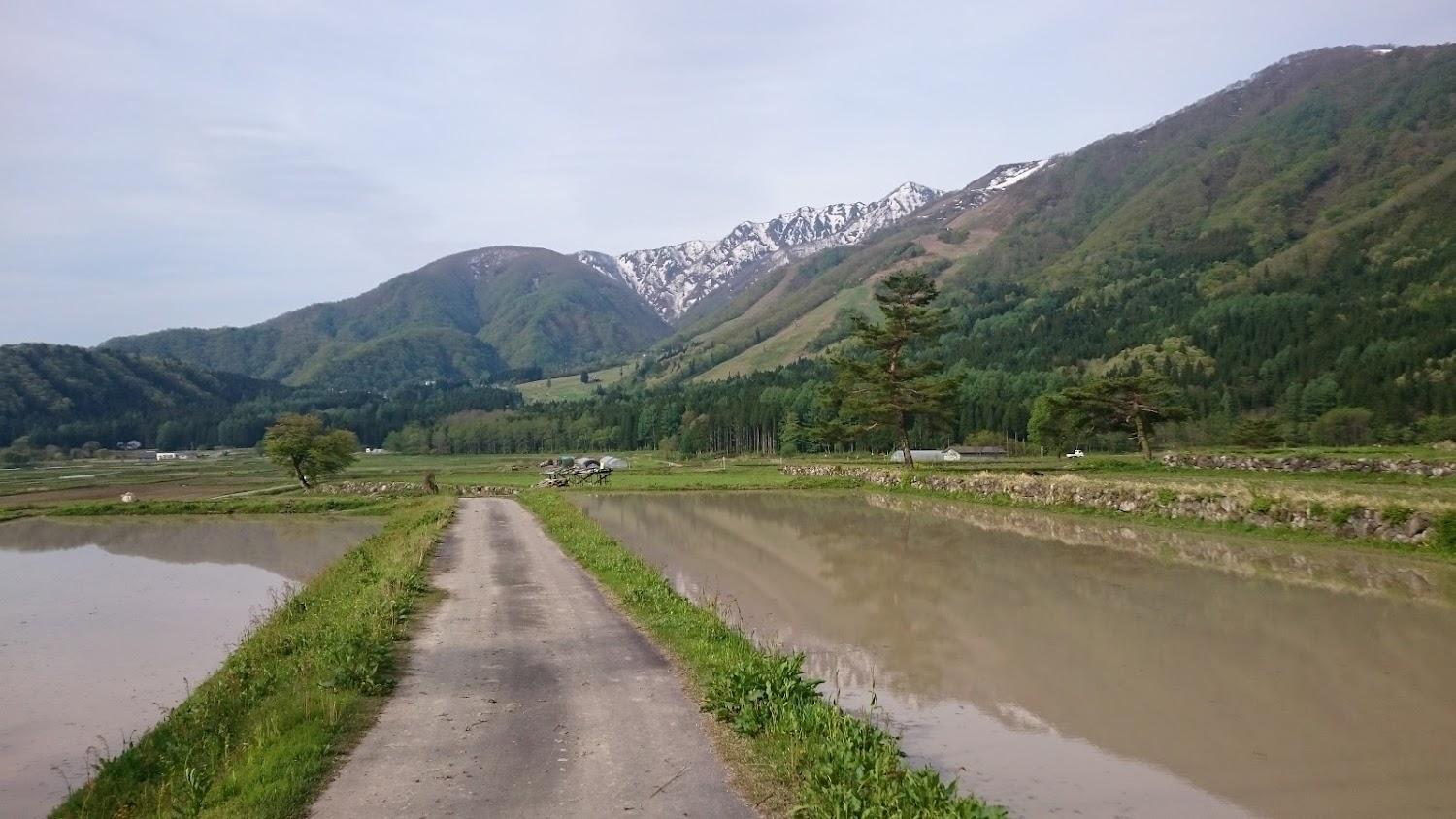 Cover Image for Balls Deep Inn Villas | Hakuba