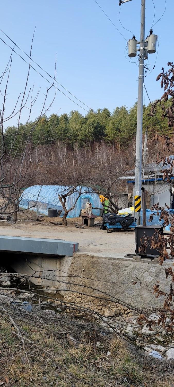 Cover Image for 옐로우힐