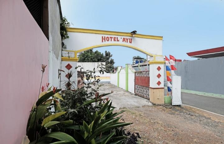 Cover Image for Hotel Ayu