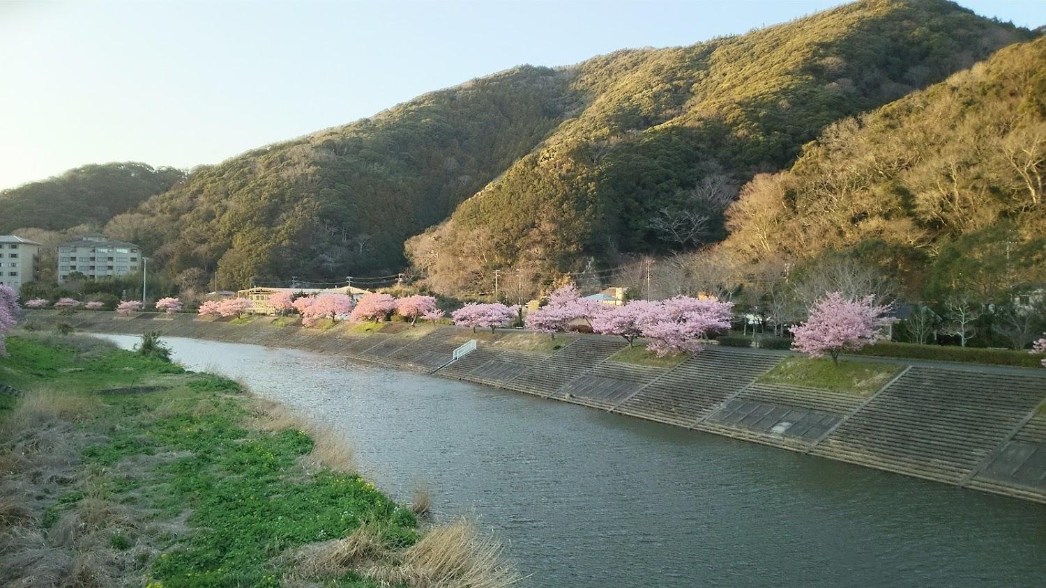 Cover Image for Fukuya