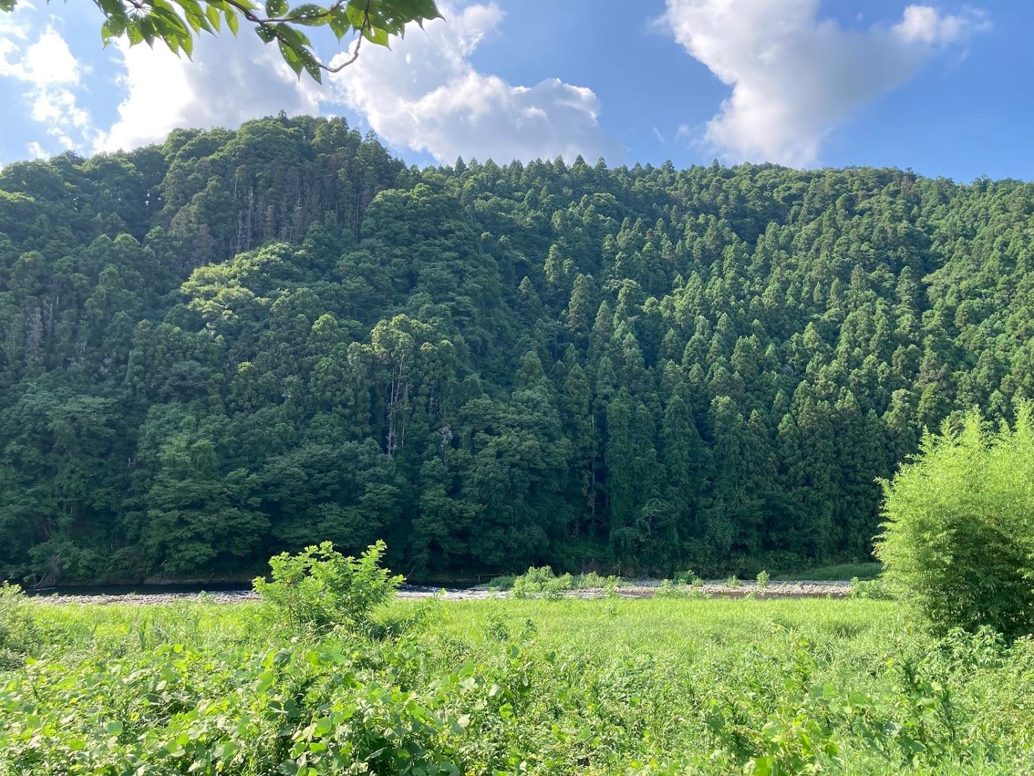 Cover Image for キャンプ村やなせ