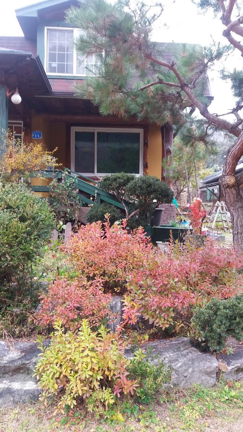 Cover Image for 시골나그네