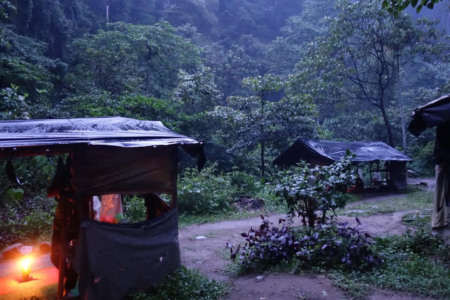 Cover Image for Tranquil Jungle Hut & Trekking
