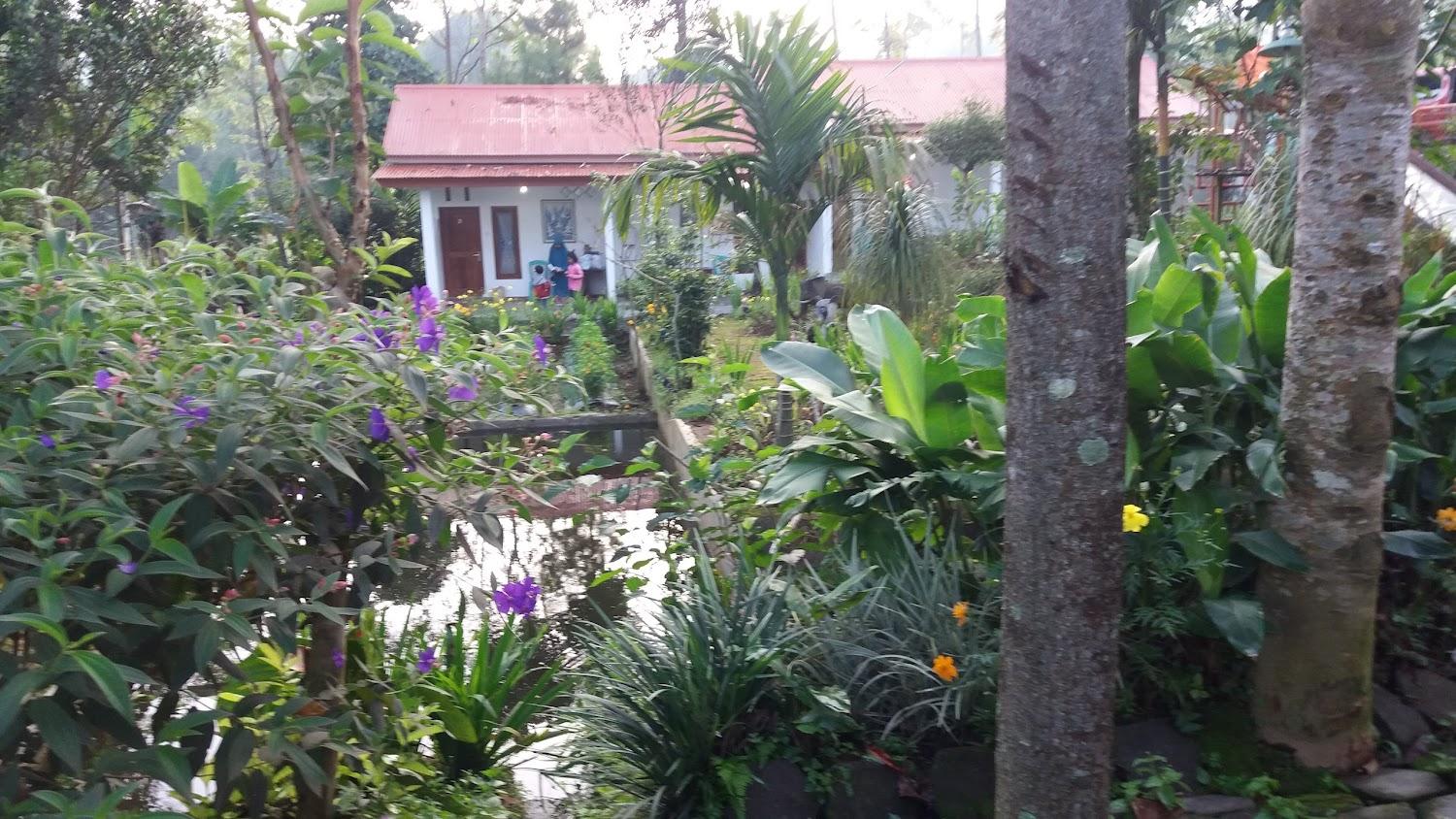 Cover Image for Cemara 7 Dieng HomeStay & Resto