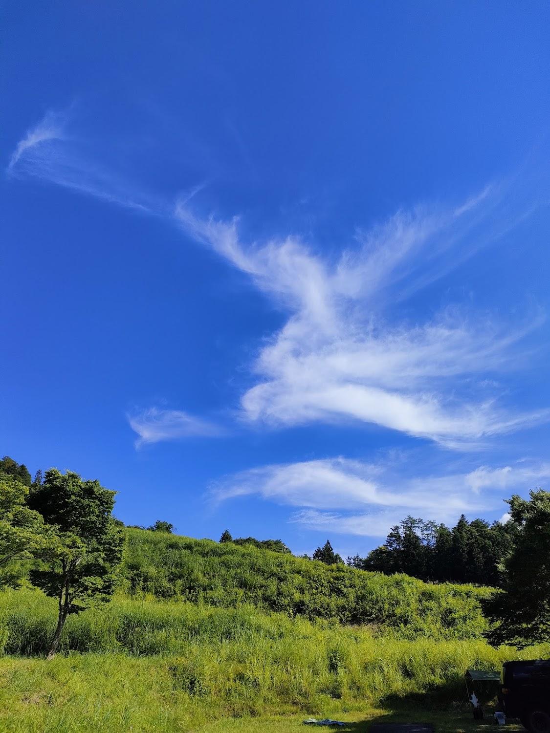 Cover Image for Outdoor in Motai