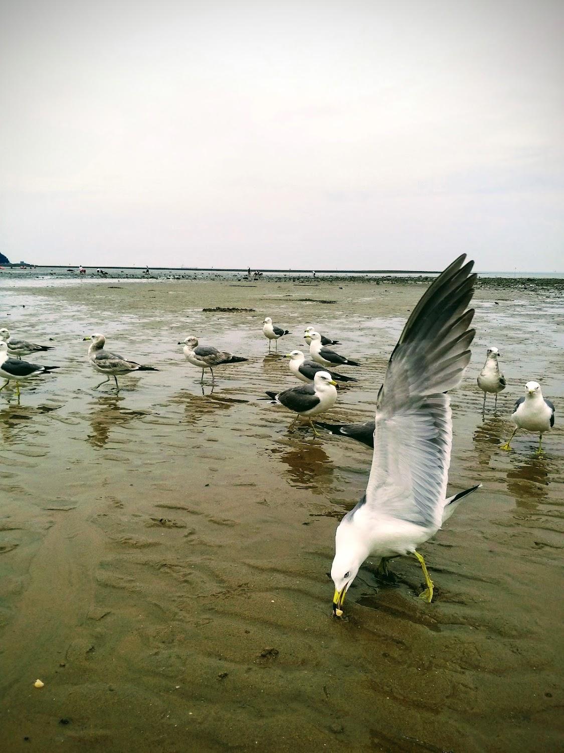 Cover Image for 해비치펜션 편의점, 카페