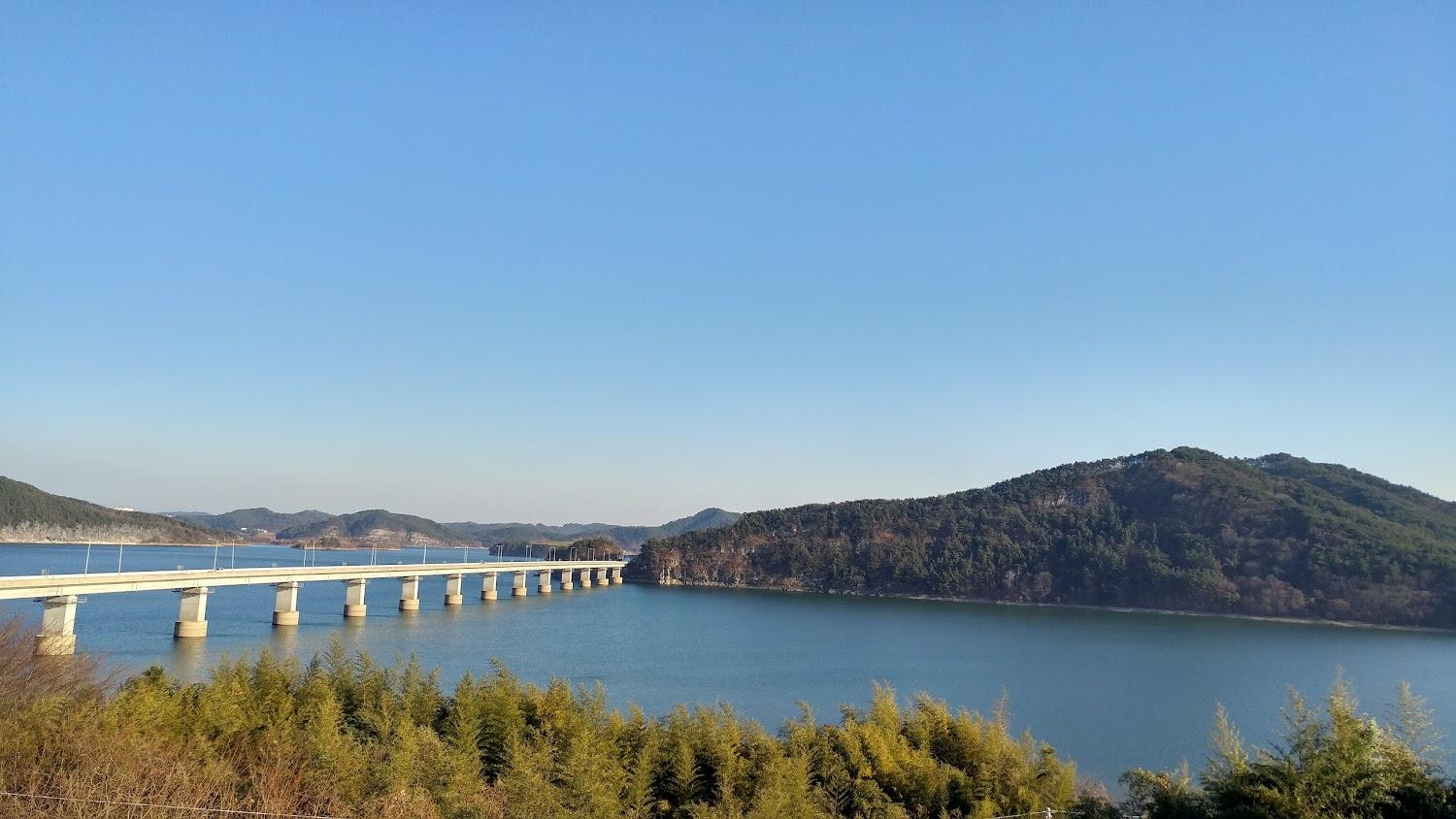 Cover Image for 피노키오