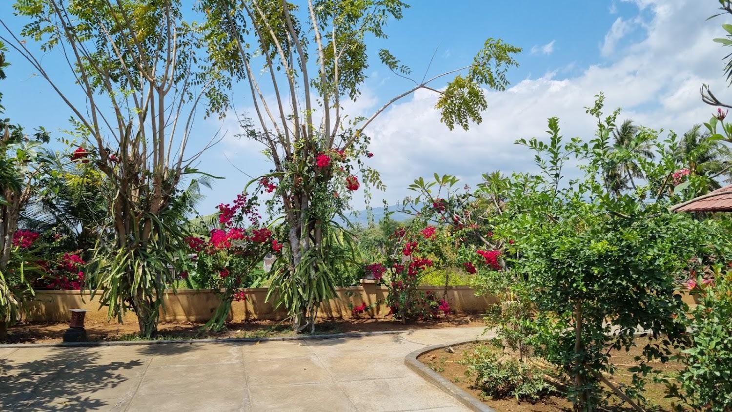 Cover Image for PURI RAKA VILLA