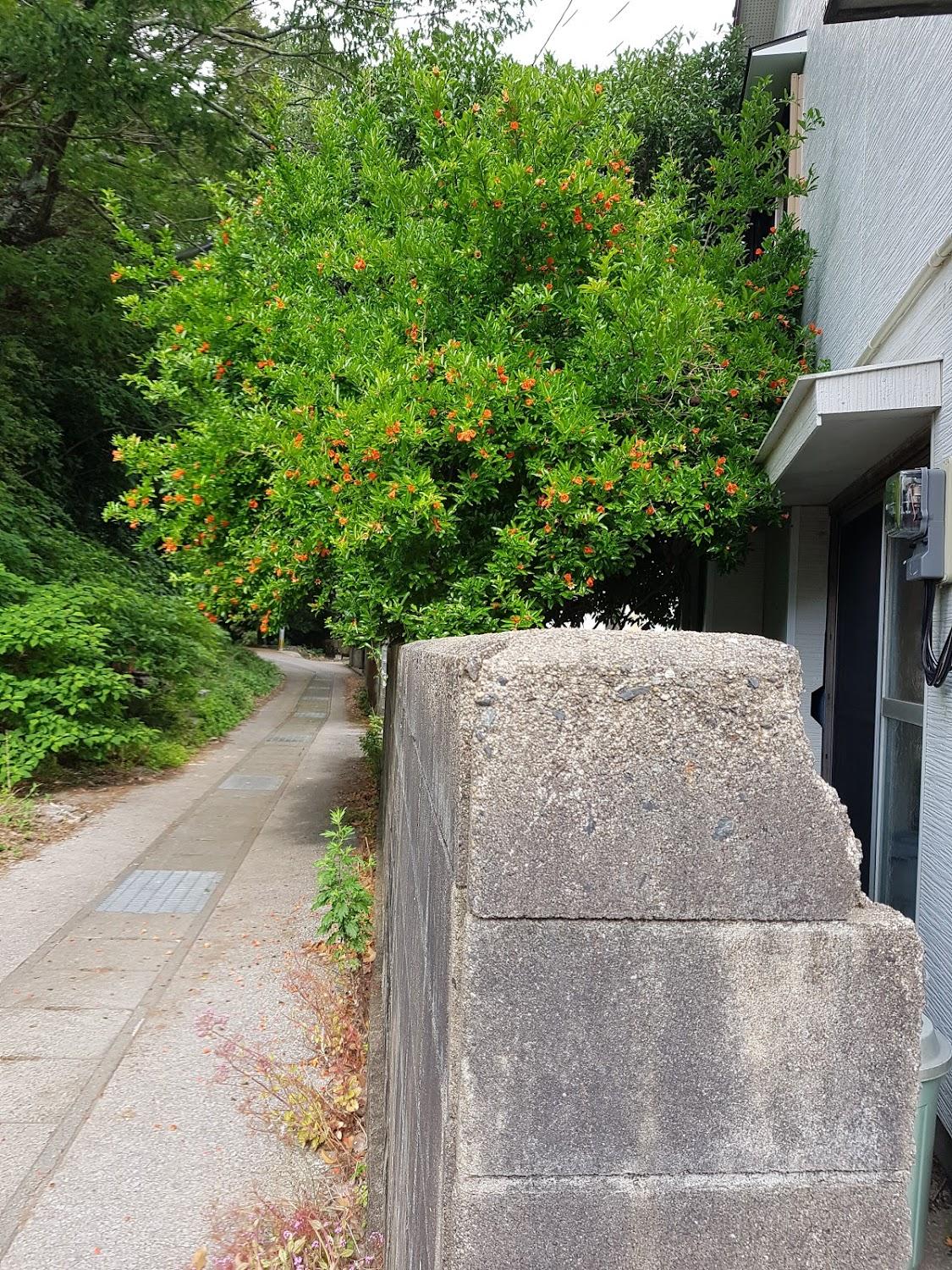 Cover Image for Asou Minshuku (Asou Inn)