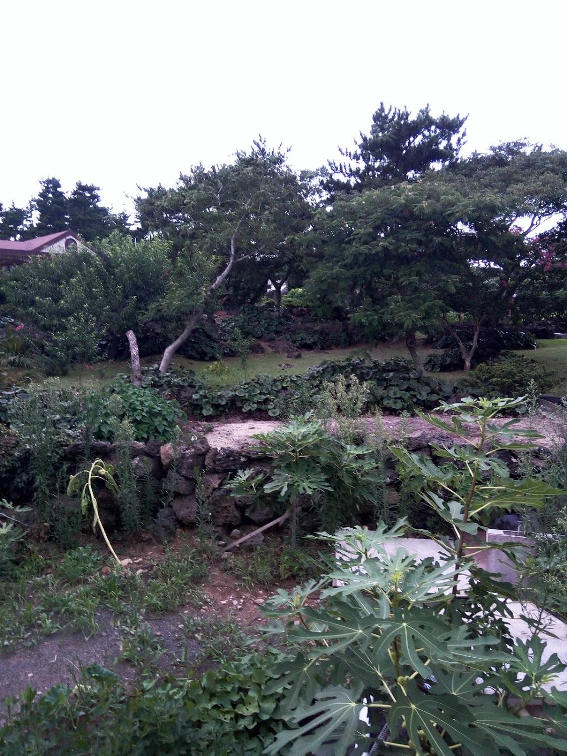 Cover Image for 신신휴양펜션