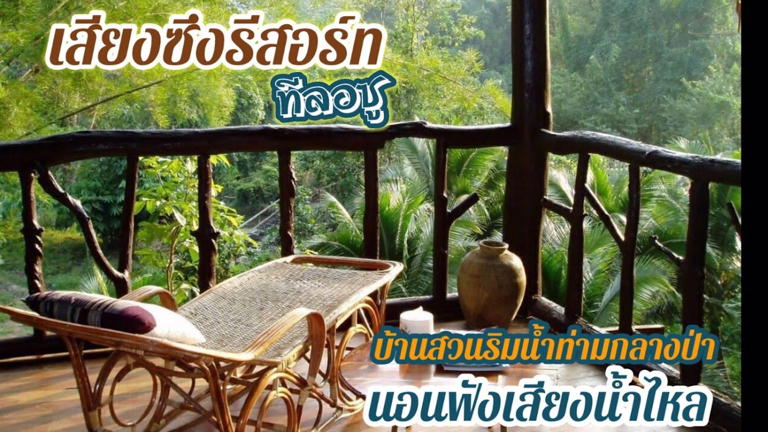 Cover Image for เสียงซึงรีสอร์ท