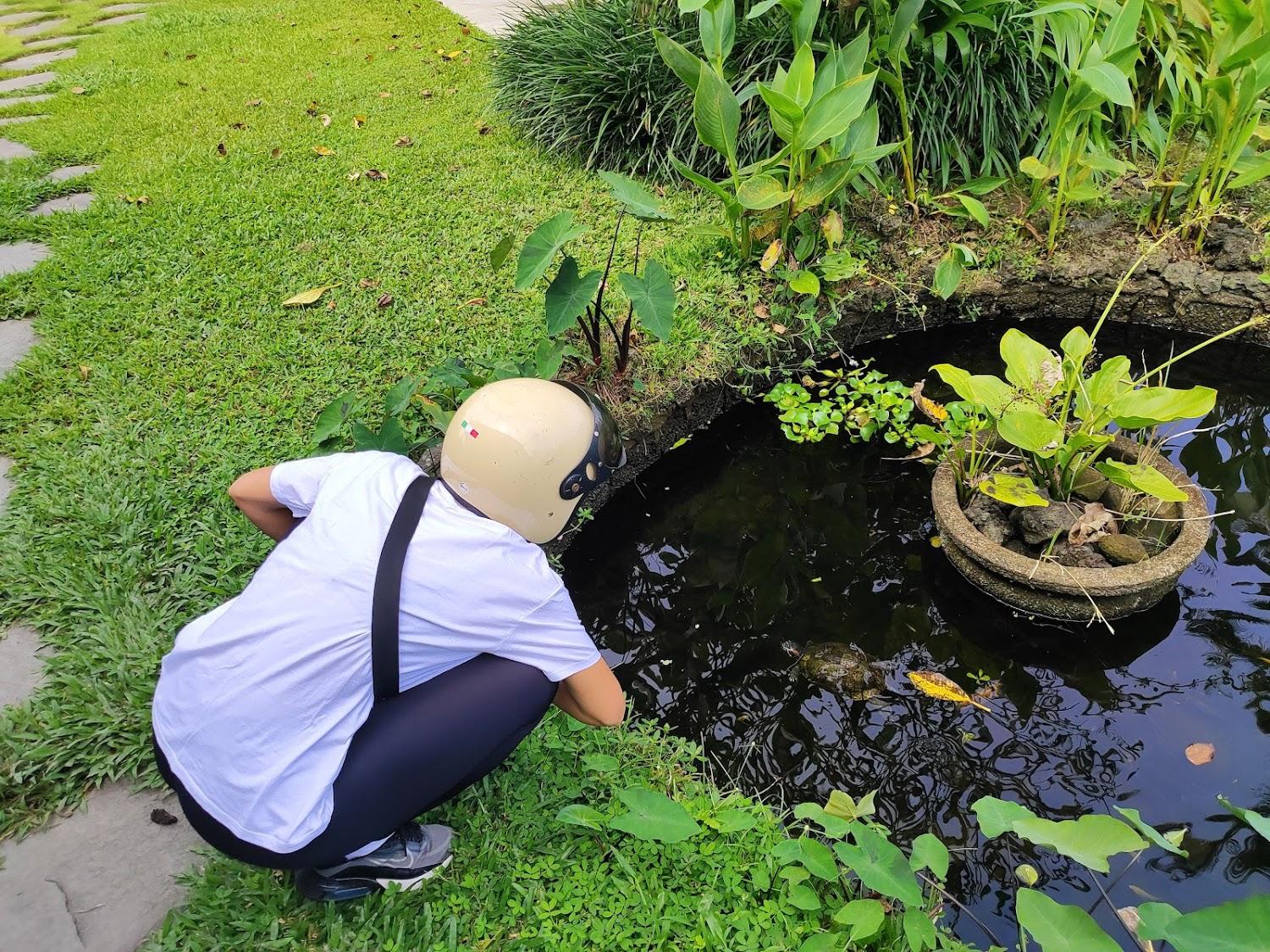 Cover Image for Villa Bali sawah indah