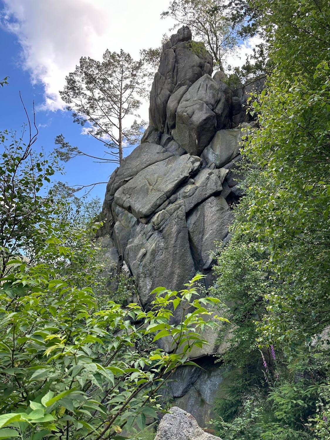 Cover Image for Waldhaus im Okertal