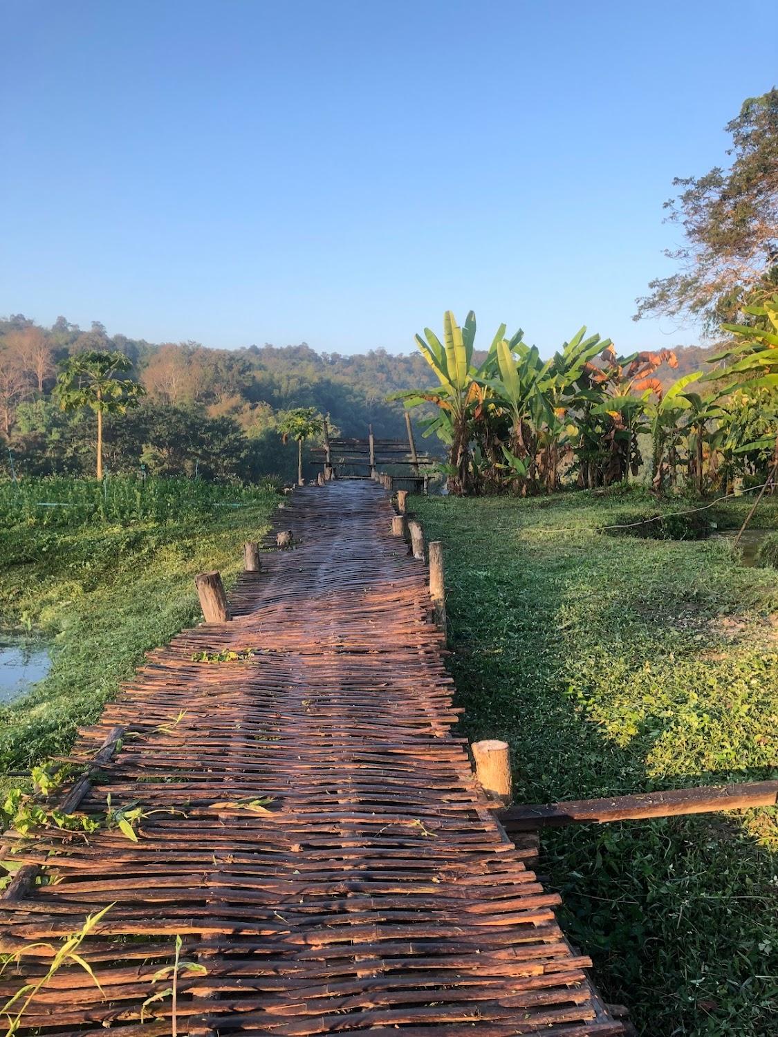 Cover Image for Chaeson Hill Resort
