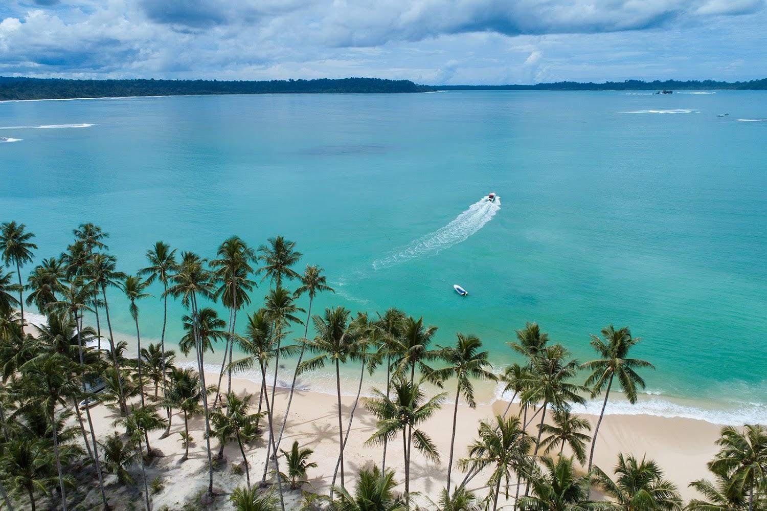 Cover Image for Monkeys Resort