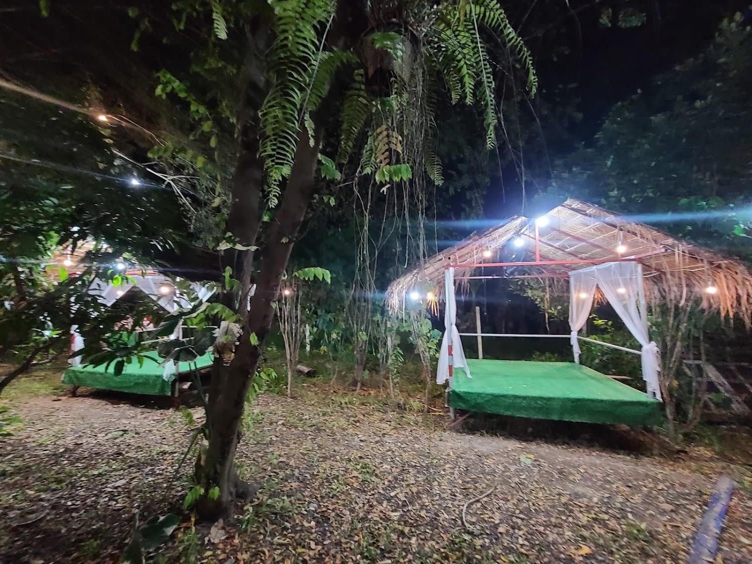 Cover Image for บ้านต้นไม้รีสอร์ท สารภี