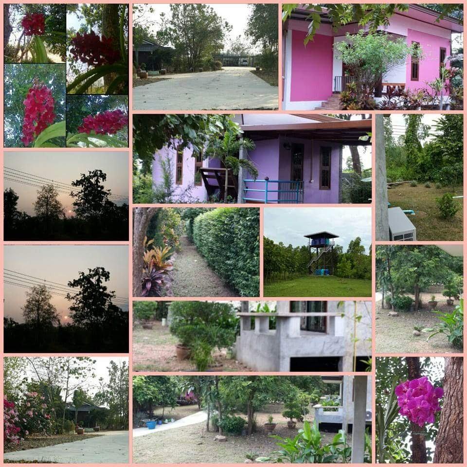 Cover Image for bansuanjaowkun resort