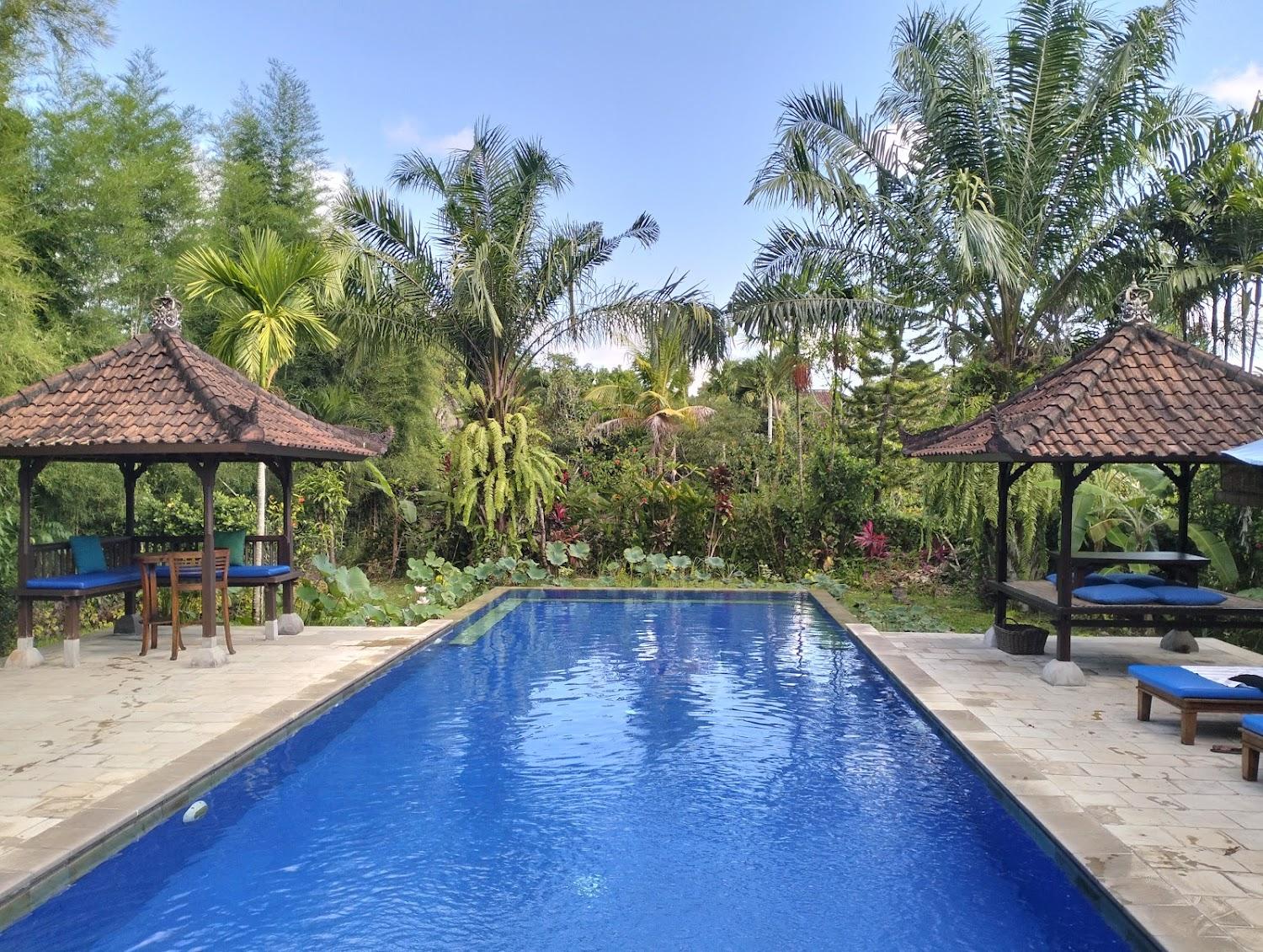 Cover Image for Nara Guest House