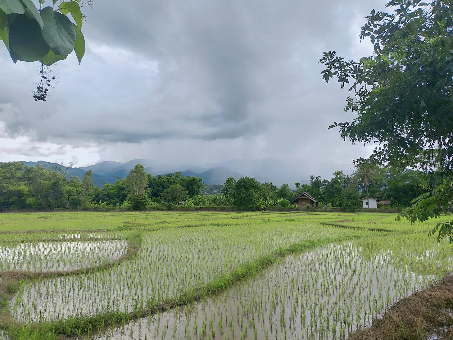 Cover Image for Pho Rak Nah Pai Guesthouse