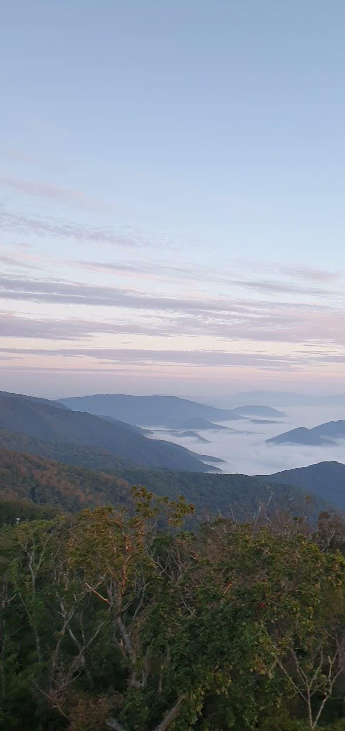 Cover Image for 자연속으로
