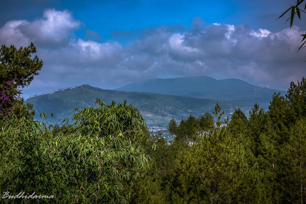 Cover Image for Lembah Bougenville Lembang