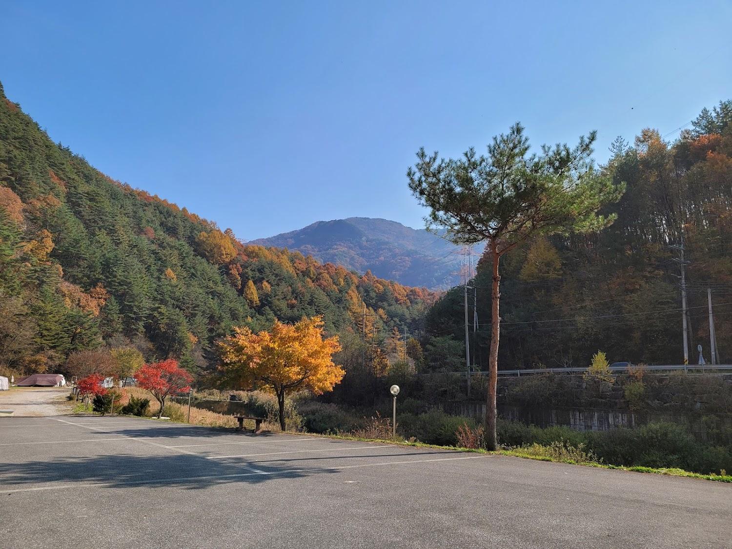 Cover Image for 봄여름가을겨울 펜션