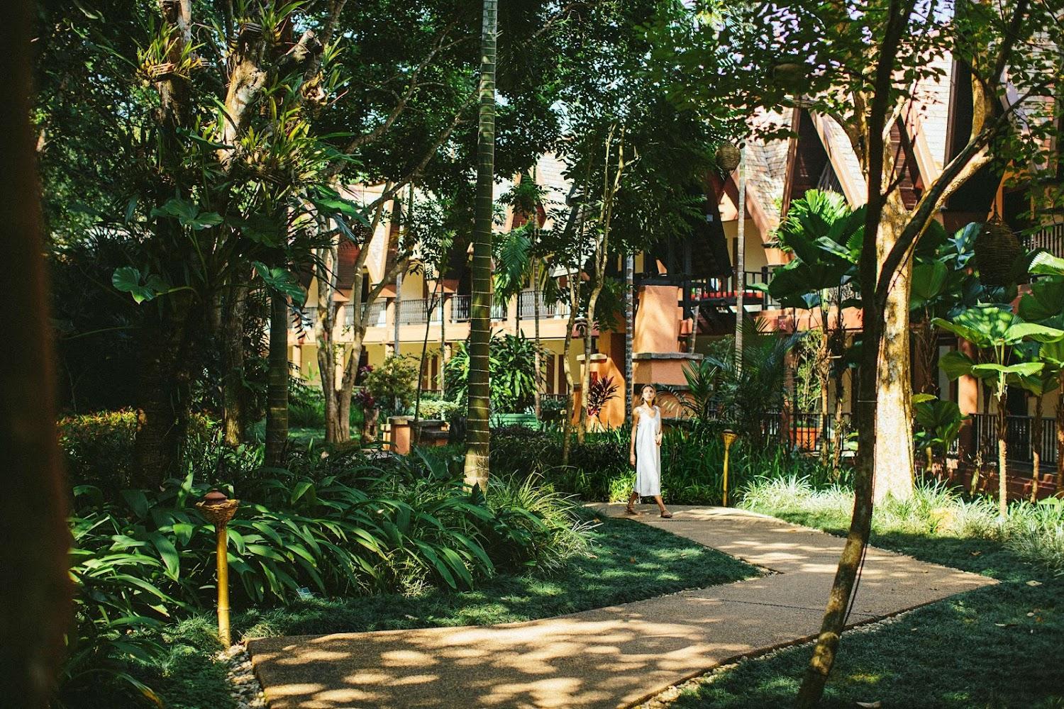 Cover Image for Anantara Golden Triangle Elephant Camp & Resort อนันตรา สามเหลี่ยมทองคำ แคมป์ช้าง แอนด์ รีสอร์ท