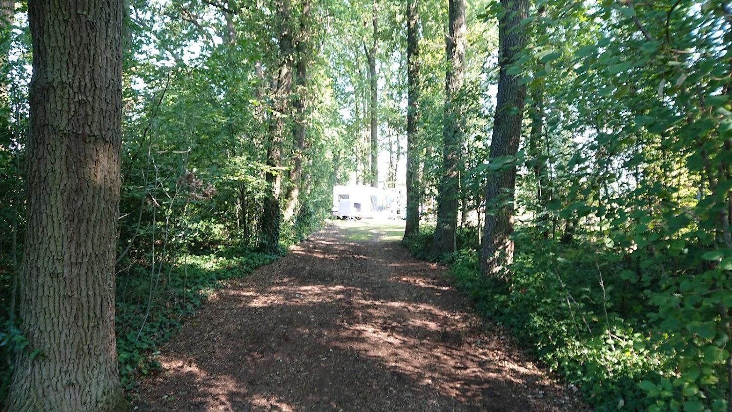 Cover Image for Camping Ferienhof BrinkOrt