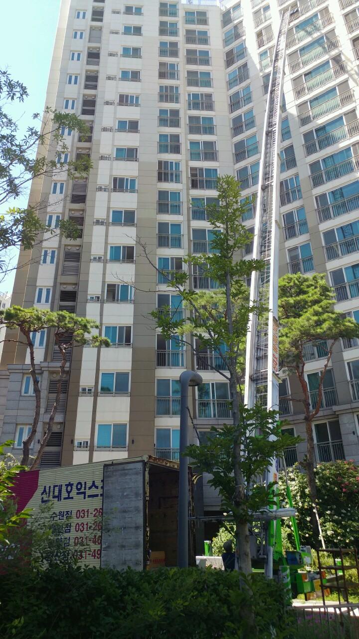Cover Image for 아이비 모텔