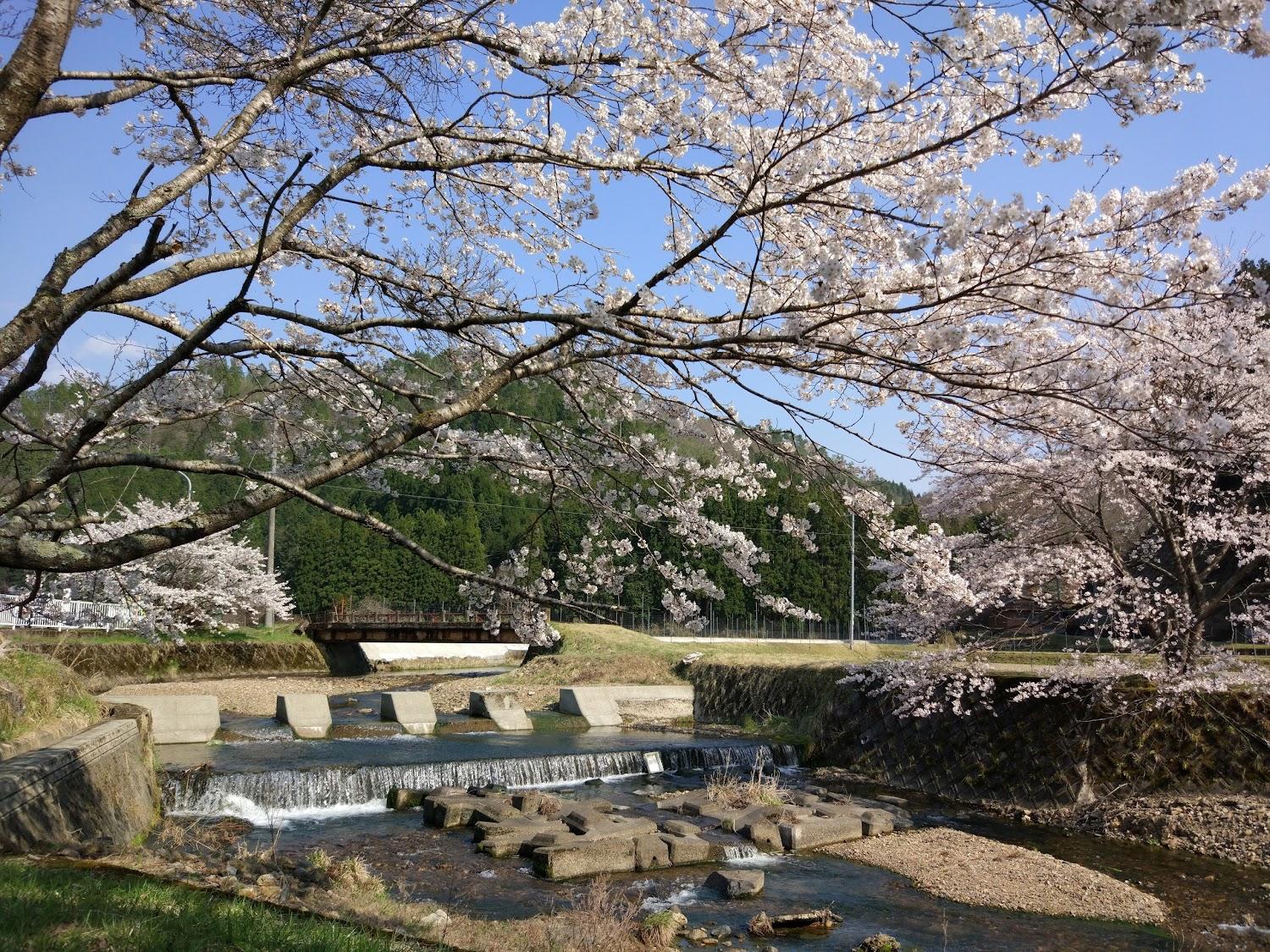 Cover Image for Setsukeian Guest House