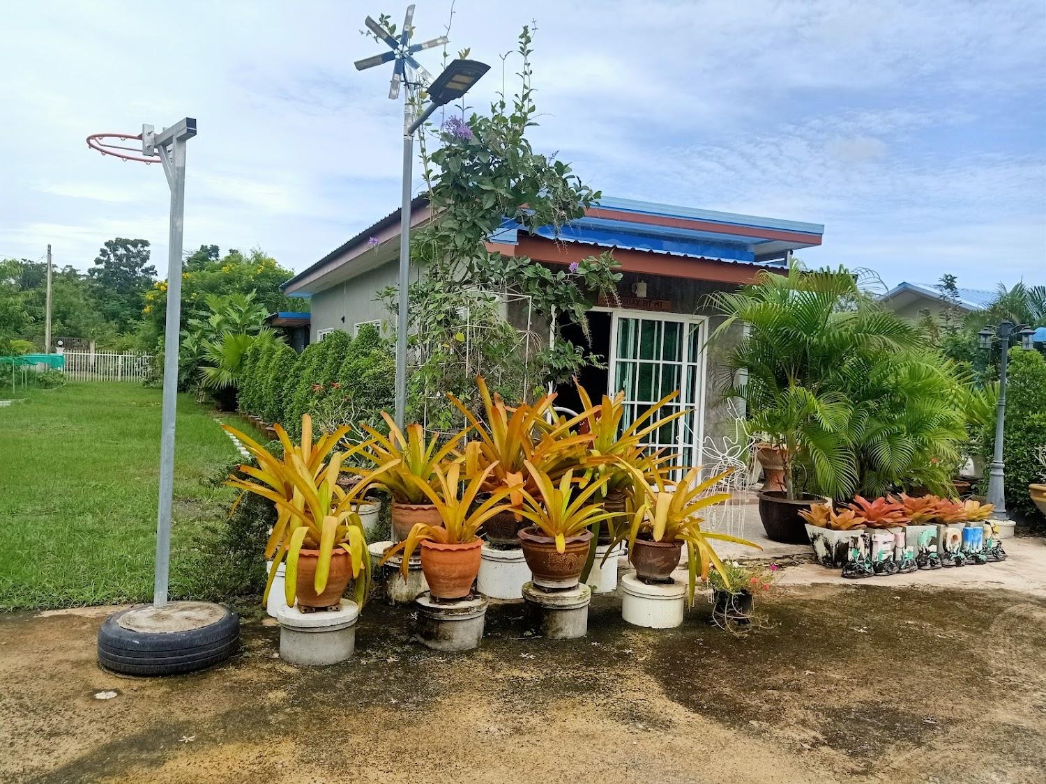 Cover Image for Baan Phusuay Buriram