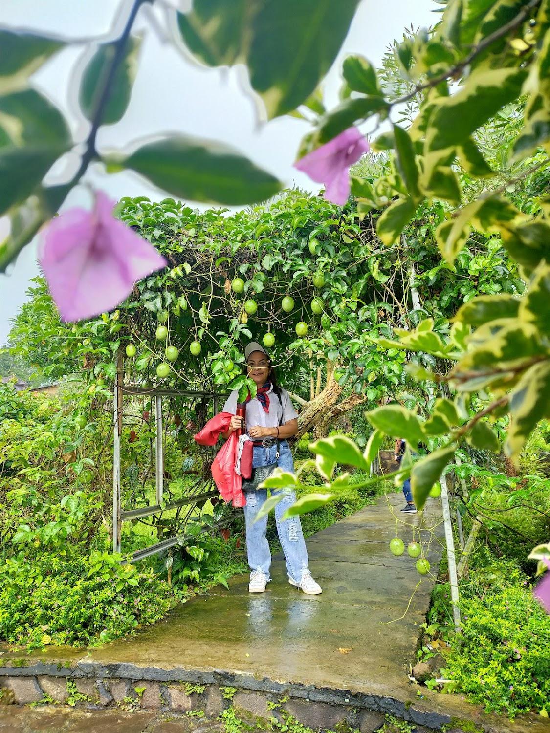 Cover Image for Kampung Duhur Villa And Resorts