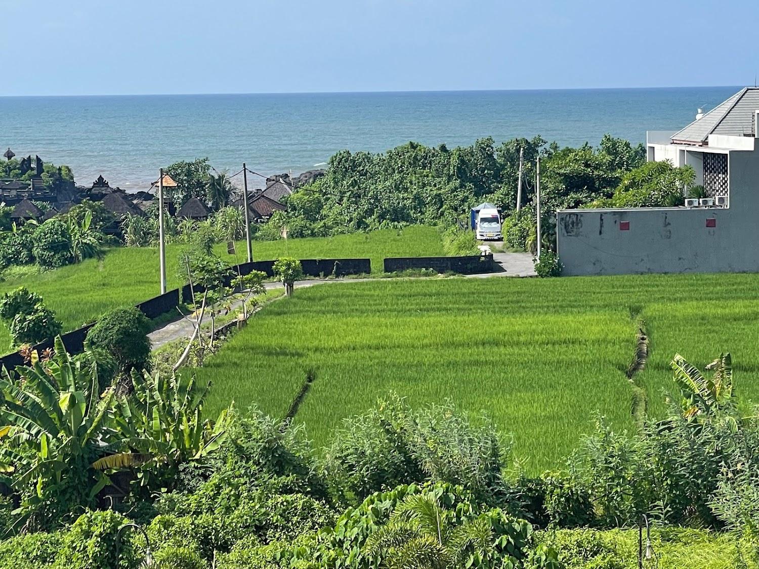 Cover Image for Ảnh At a glance