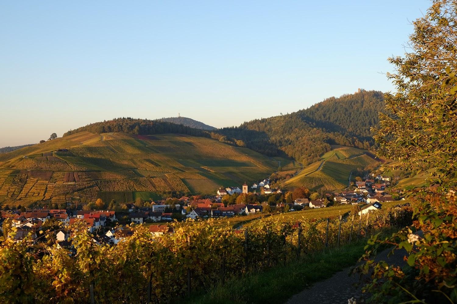 Cover Image for Hotel und Restaurant Heiligenstein