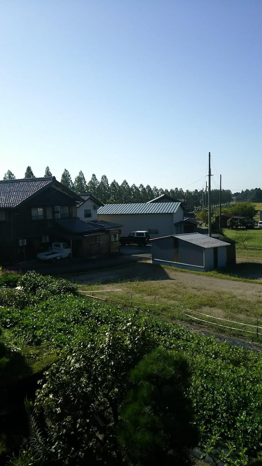 Cover Image for Maruzen