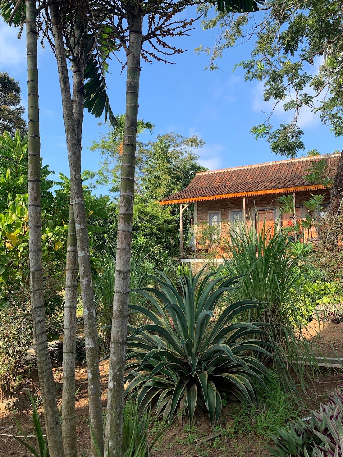 Cover Image for Jala Sutra Cottages