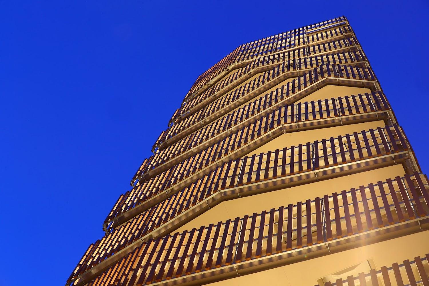 Cover Image for Minn Asakusa